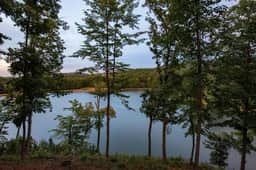 New Lake Front Aframe Cabin*Kayaks*Arcade*Fishing