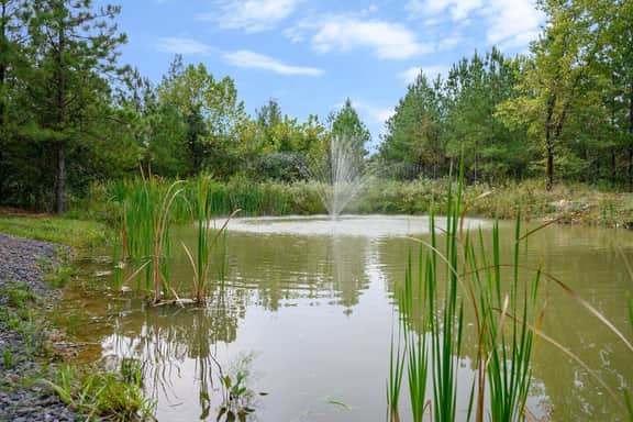 New Waterfront Cabin*Fire Pit*Games*Hot Tub*Views